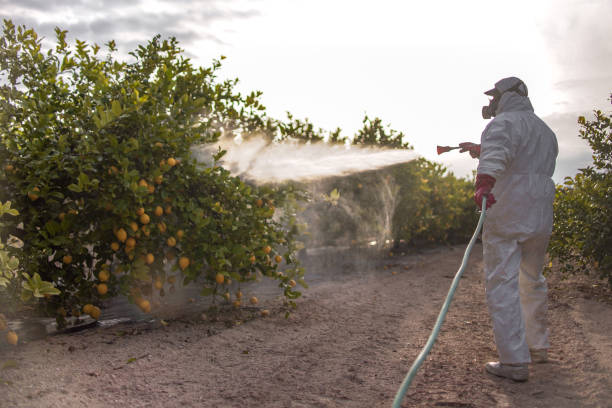 Best Residential Pest Control  in Waxhaw, NC