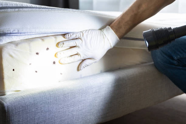 Best Local Pest Control Services  in Waxhaw, NC