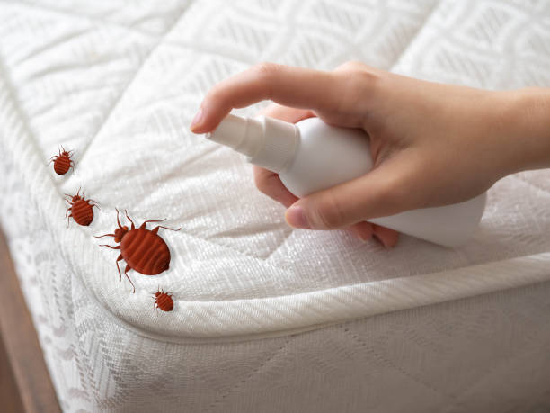 Best Pest Control Near Me in Waxhaw, NC