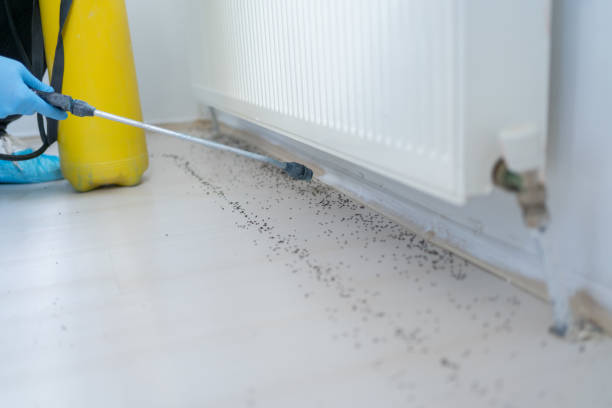 Best Wasp Removal Services  in Waxhaw, NC