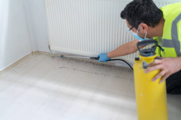 Best Best Pest Control Near Me  in Waxhaw, NC