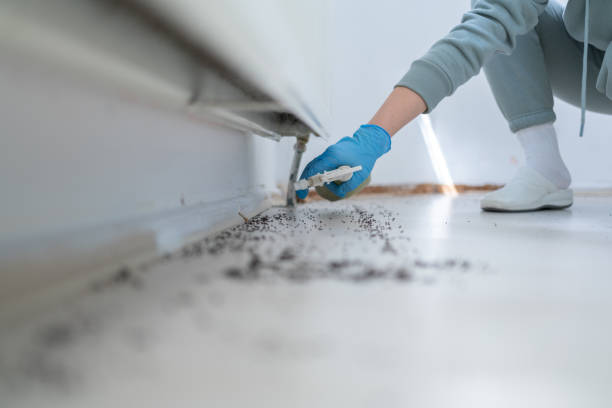 Reliable Waxhaw, NC Pest Control Solutions