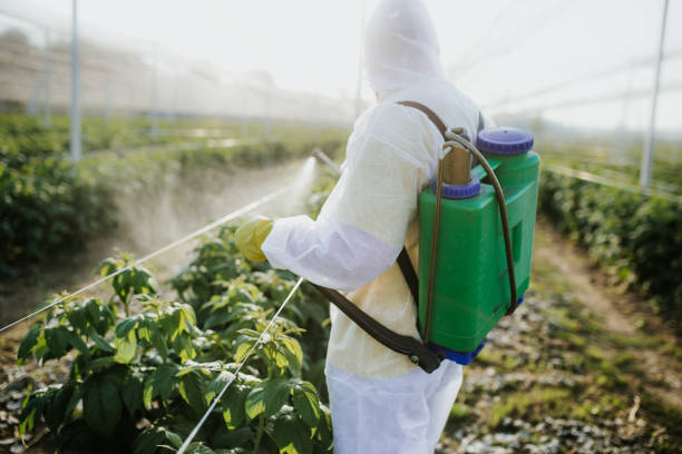 Best Pest Removal Services  in Waxhaw, NC